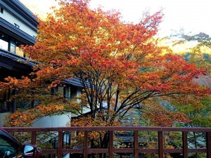 週末はぜひ泡の湯へ♪